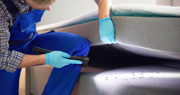 Best Pest Control Near Me in Port Lavaca, TX