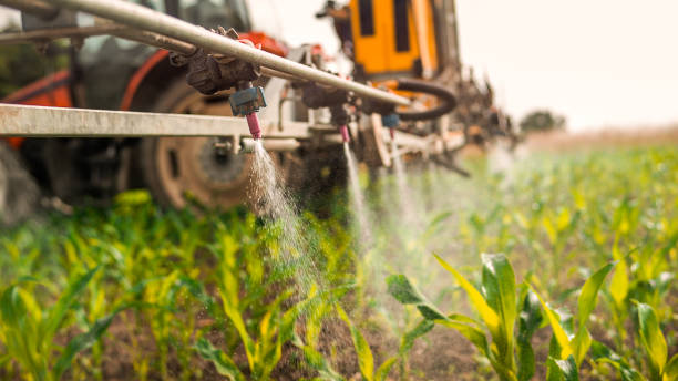 Best Pest Control Treatment  in Port Lavaca, TX
