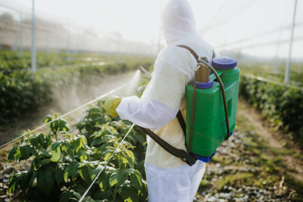 Best Mosquito Control Services  in Port Lavaca, TX